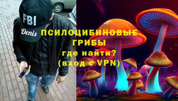 шишки Краснотурьинск
