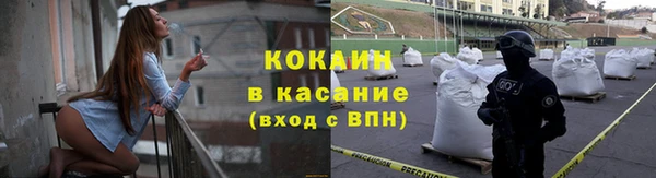 шишки Краснотурьинск
