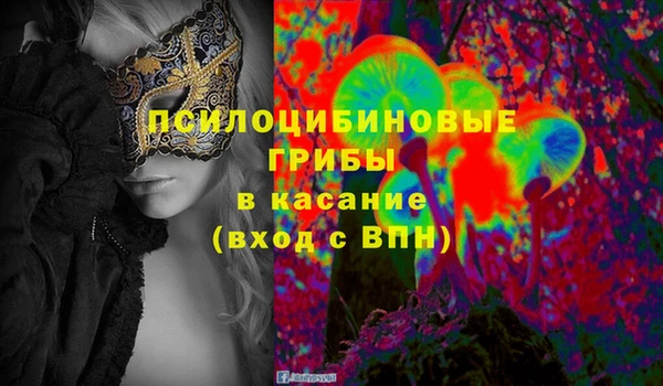 шишки Краснотурьинск