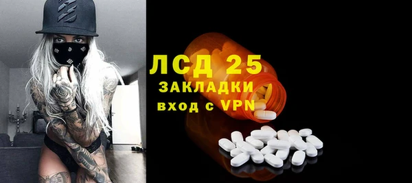 шишки Краснотурьинск