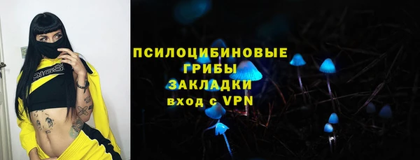 бошки Краснослободск