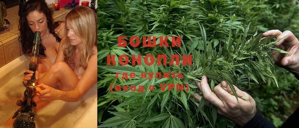 шишки Краснотурьинск