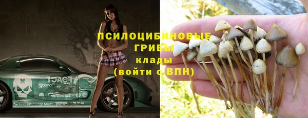 шишки Краснотурьинск
