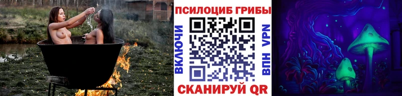 Галлюциногенные грибы мухоморы  KRAKEN маркетплейс  Моздок  дарнет шоп 
