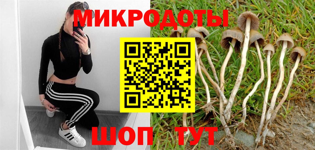 Псилоцибиновые грибы GOLDEN TEACHER  Псилоцибиновые грибы MAGIC MUSHROOMS  Моздок  Вход с VPN 